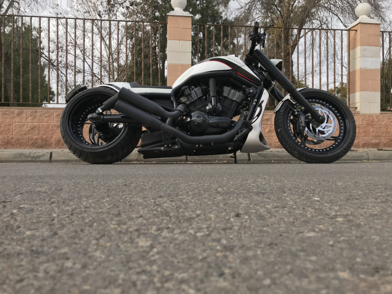 V Rod VRSCDX Night Rod Special Ciclon Redline Fiber Bull Motorcycles